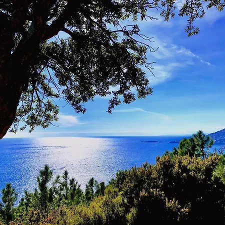 Garden Level With Sea View For 6 People 酒店 *
